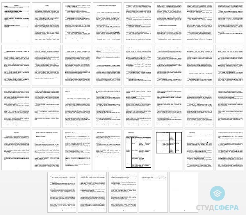 Курсовая работа на тему: Государственная служба