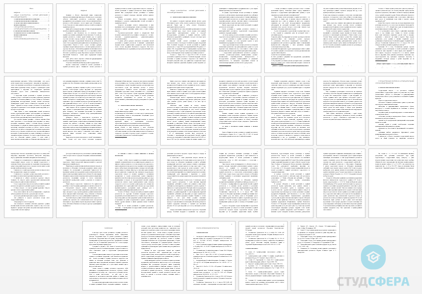 Курсовая работа на тему: Частная детективная и охранная деятельность