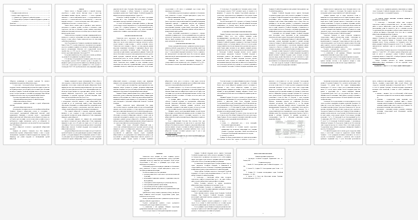 Контрольная работа на тему: Механизм политической власти. Институт главы государства в РФ