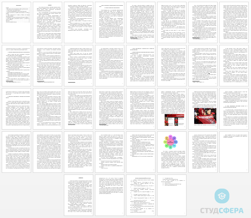 Курсовая работа на тему: Спортивный PR на примере ФК «Манчестер Юнайтед