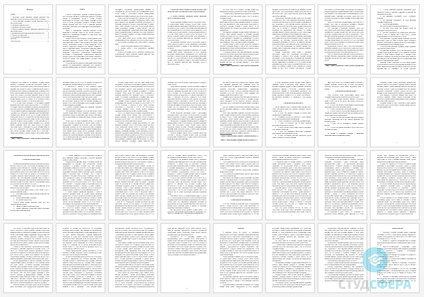 Курсовая работа на тему: Правовое регулирование применения, сотрудниками полиции физической силы, специальных средств и огнестрельного оружия