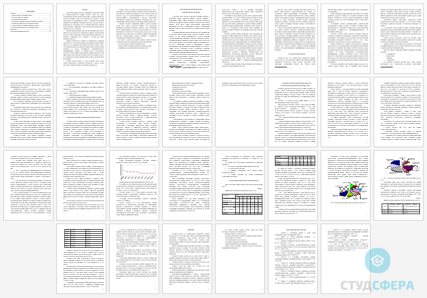 Курсовая работа на тему: Трудовой потенциал региона