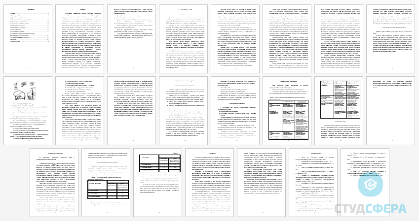 Курсовая работа на тему: Определение функционального состояния зрительной сенсорной системы человека