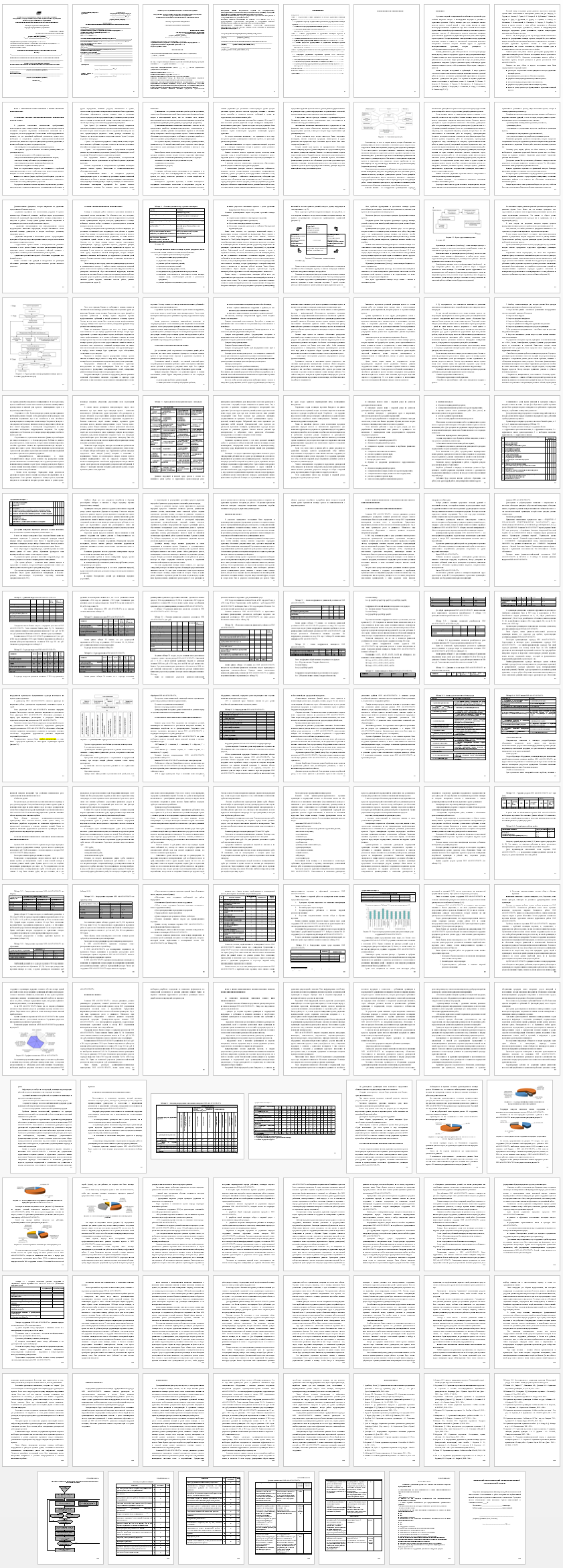 Дипломная работа на тему: Формирование и управление командой проекта на примере ООО МАКСКУПЛАСТ