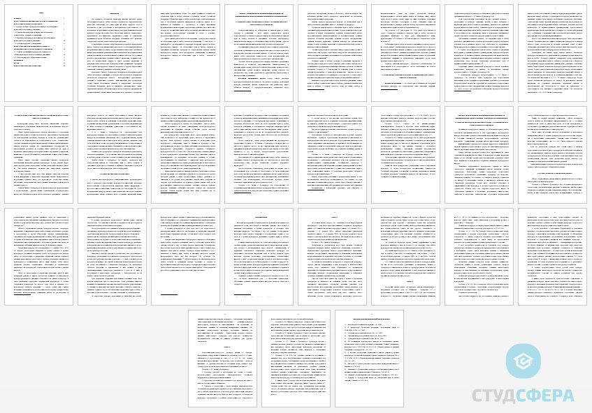 Курсовая работа на тему: Прокурорский надзор за соблюдением прав и свобод человека и гражданина