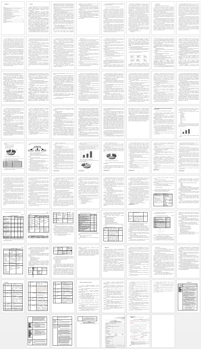 Дипломная работа на тему: Анализ процессов создания и управления собственным бизнесом в ранге предпринимателя без образования юридического лица проблемы и решения (сга)