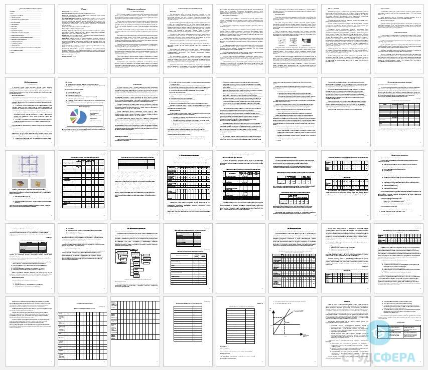 Курсовая работа на тему: Привлечение инвестиций в производство