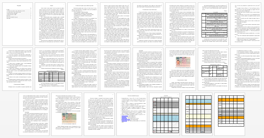 Контрольная работа на тему: Визовый режим Шенгенских стран в отношении туристов из России (на примере двух стран Соглашения)