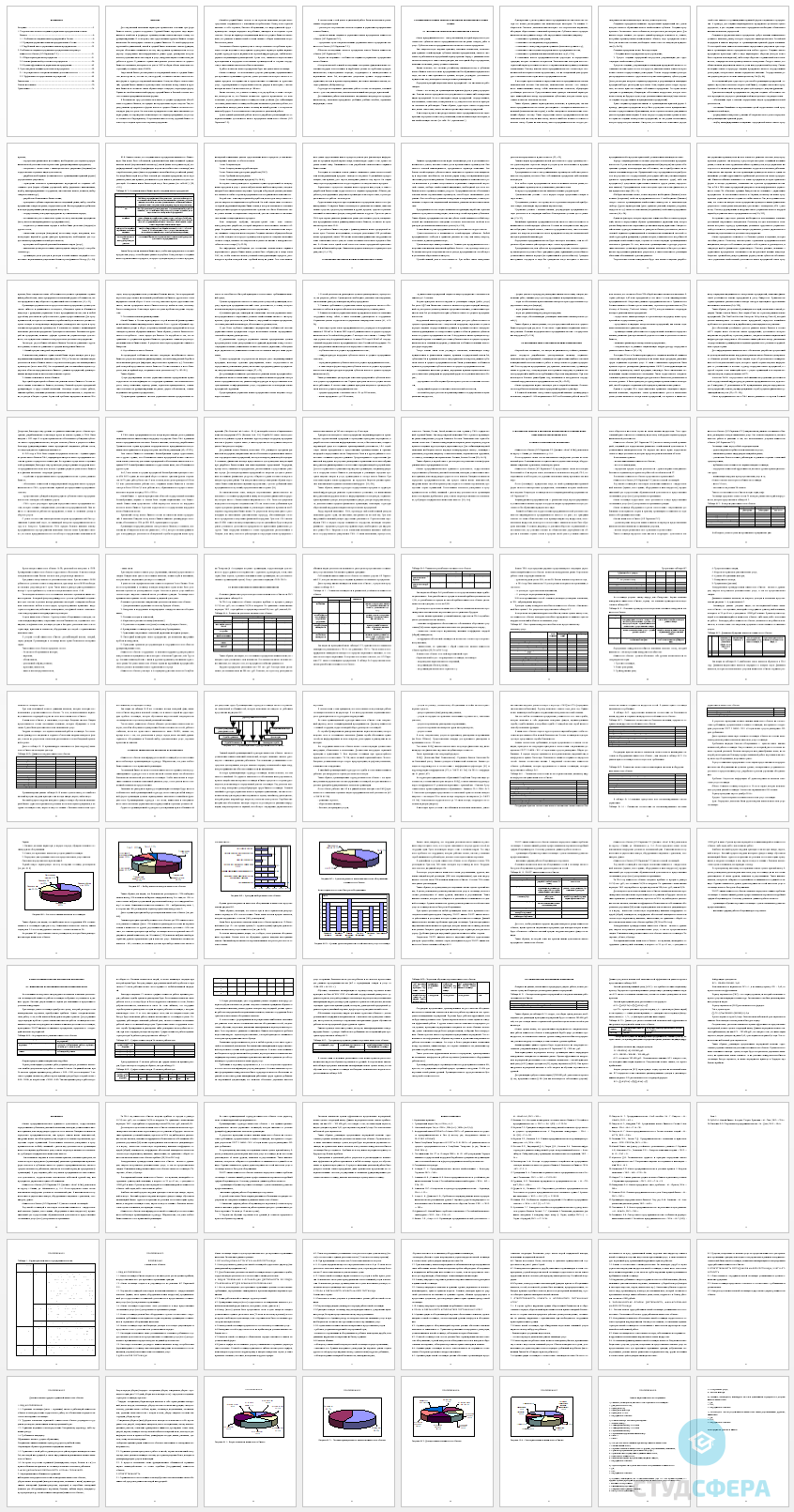 Дипломная работа на тему: Особенности создания и управления  предприятием малого бизнеса