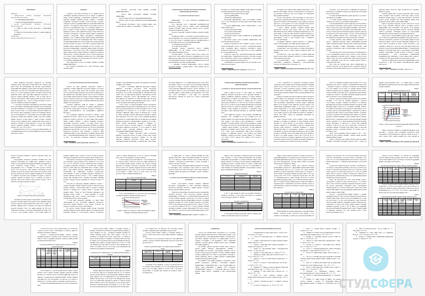 Курсовая работа на тему: Гибридные источники финансирования бизнеса
