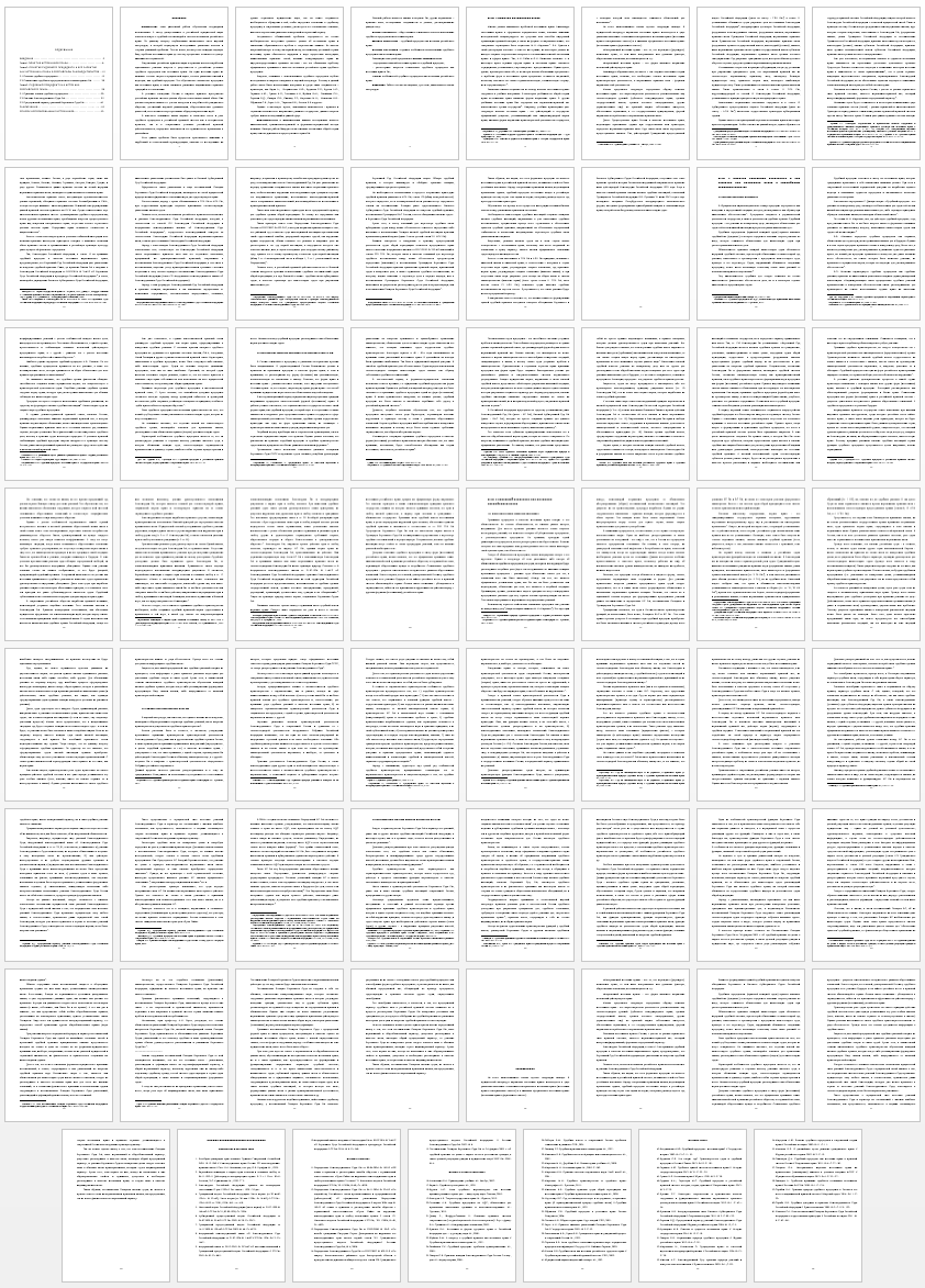 Дипломная работа на тему: Судебный прецедент как источник права