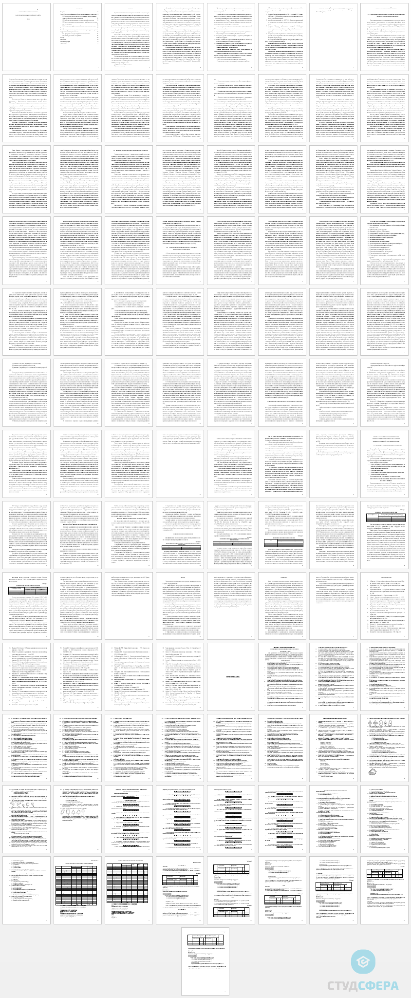 Дипломная работа на тему: Самоактуализация студентов с разной профессиональной направленностью