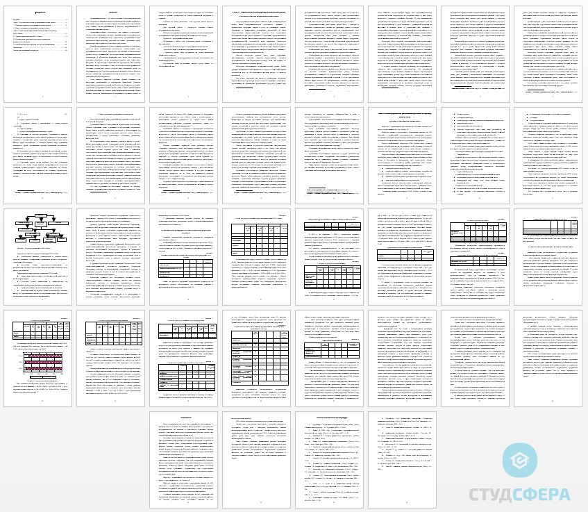 Курсовая работа на тему: Предпринимательский риск