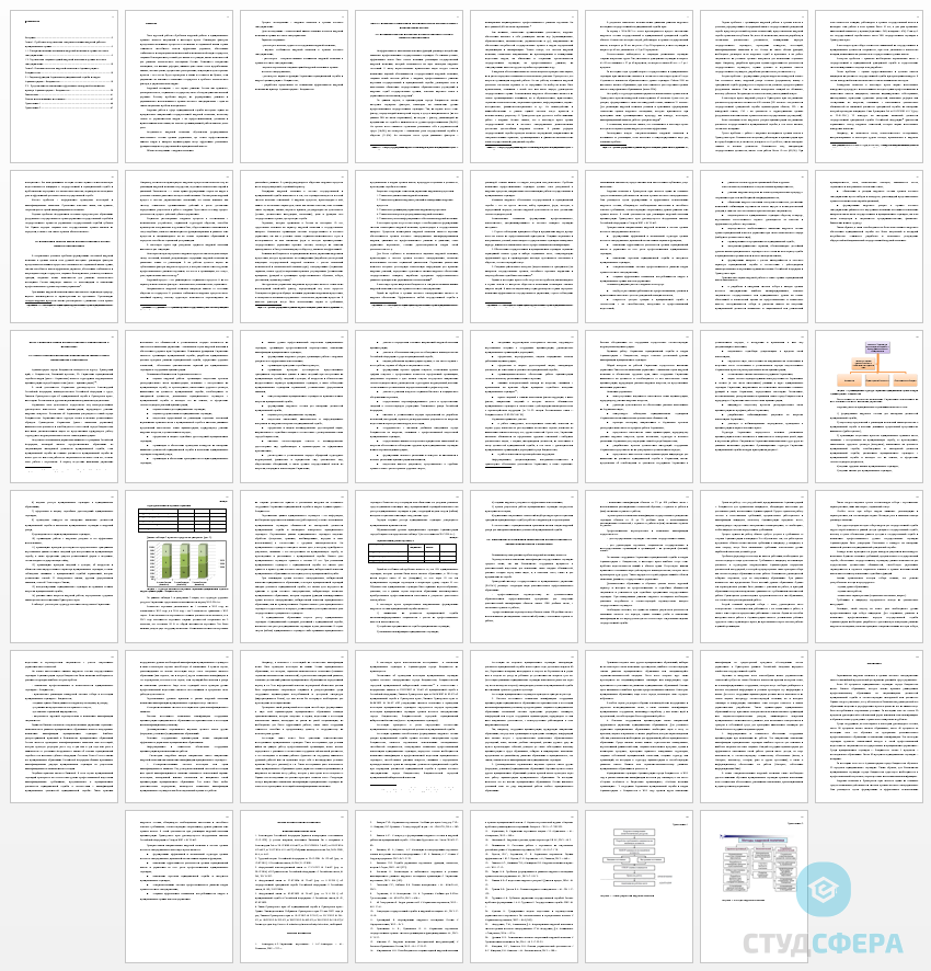 Курсовая работа на тему: Проблемы кадровой работы в муниципальных органах