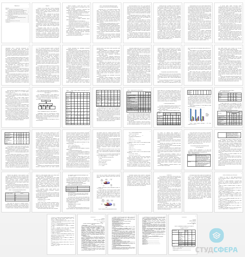 Курсовая работа на тему: Проблемы вознаграждения персонала опыт, перспективы
