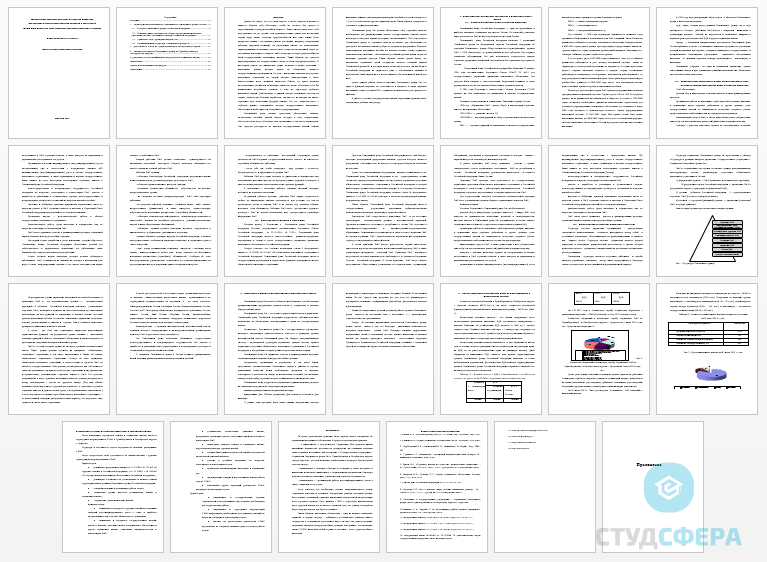 Отчет по практике на тему: Пенсионный Фонд Российской Федерации