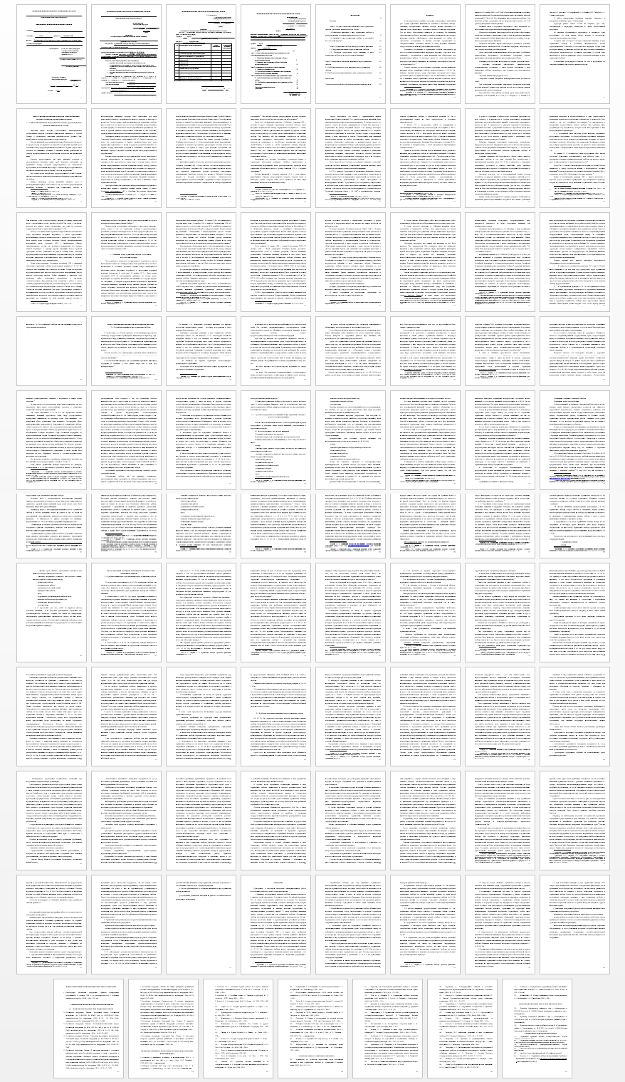 Дипломная работа на тему: Ограничение свободы как вид уголовного наказания в уголовном праве Российской Федерации