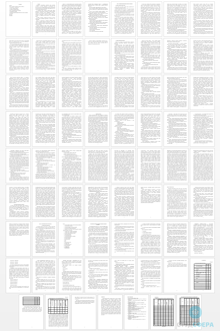 Дипломная работа на тему: Организация тренировочного процесса самбистов