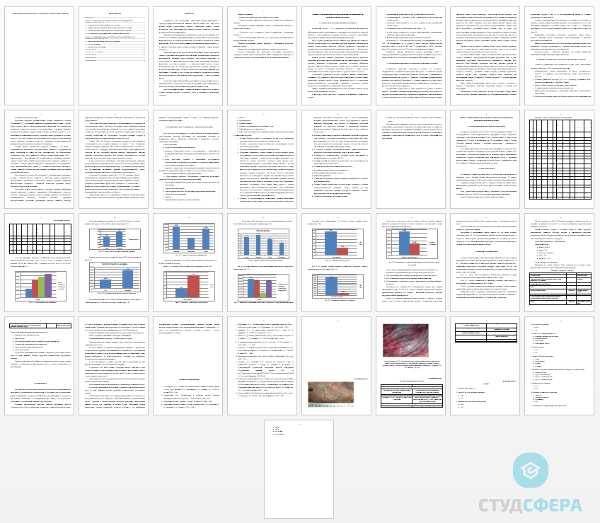 Курсовая работа на тему: Особенности сестринского ухода за пациентами с хроническим гастритом