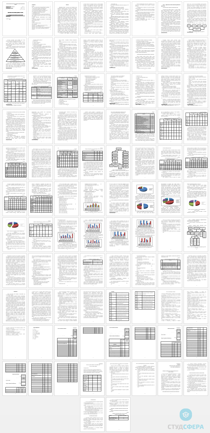 Дипломная работа на тему: Разработка системы мотивации для персонала компании розничной торговли