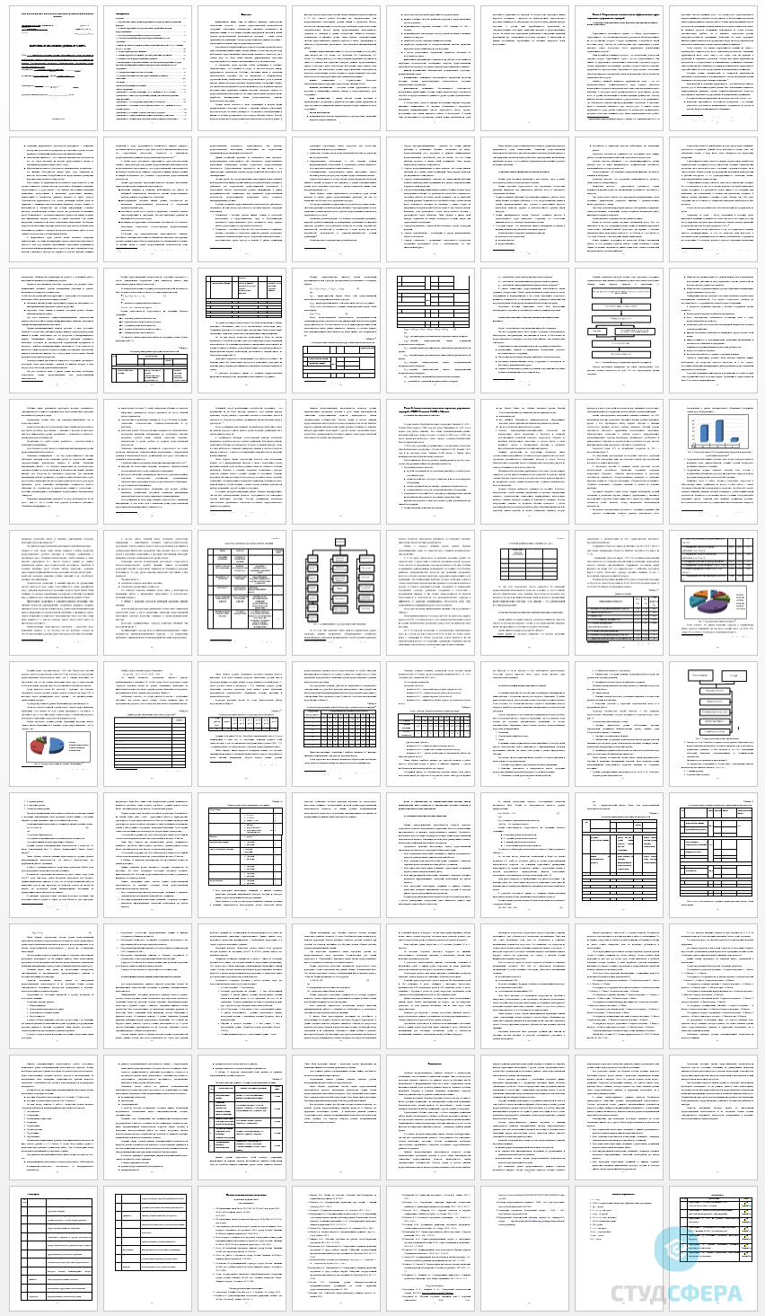 Дипломная работа на тему: Разработка методики оценки эффективности труда персонала и планирование развития карьеры и профессионального роста сотрудников (на примере Государственное бюджетное образовательное учреждение города Москвы гимназия №1409)