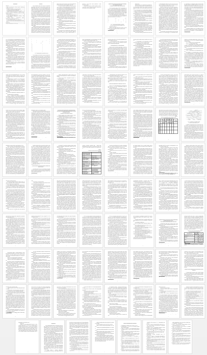 Дипломная работа на тему: Защита информации в информационных системах таможенных органов