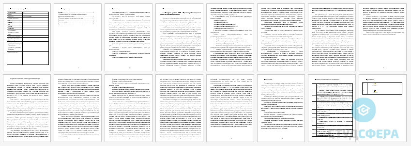 Отчет по практике на тему: Практика в реабилитационном центре