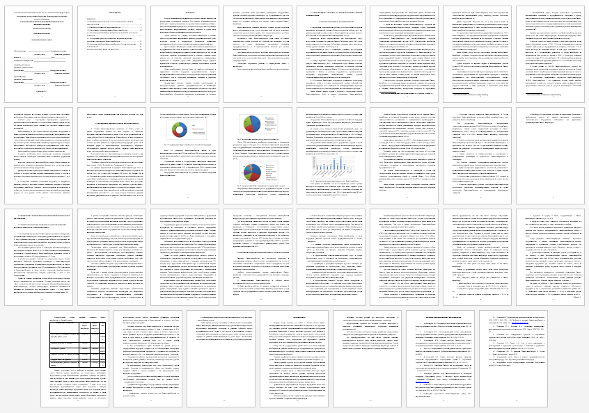 Курсовая работа на тему: Современные тенденции развития бизнес-инкубаторов