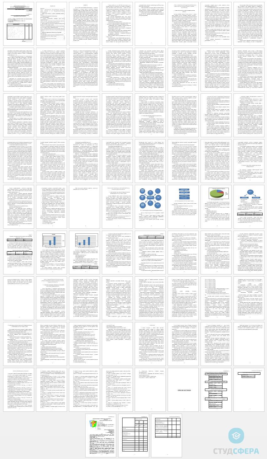 Дипломная работа на тему: Реализация государственной политики в сфере культуры (на примере ДК Альфа)