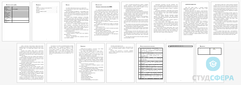 Отчет по практике на тему: Охрана общественного порядка отрядом полиции ОМОН