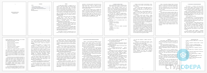 Реферат на тему: Руководство и лидерство в бизнесе