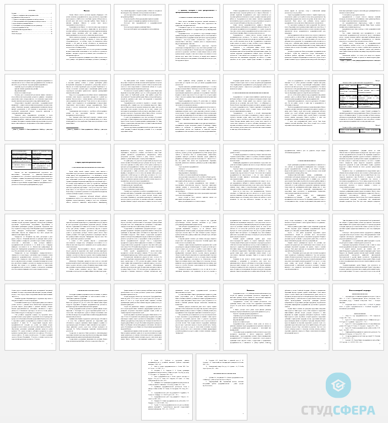 Курсовая работа на тему: Предприниматель как организатор бизнеса