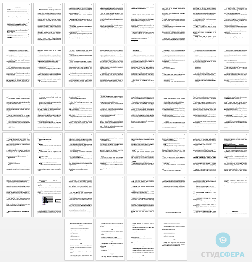 Курсовая работа на тему: Дидактическая игра как эффективное средство экологического воспитания детей дошкольного возраста