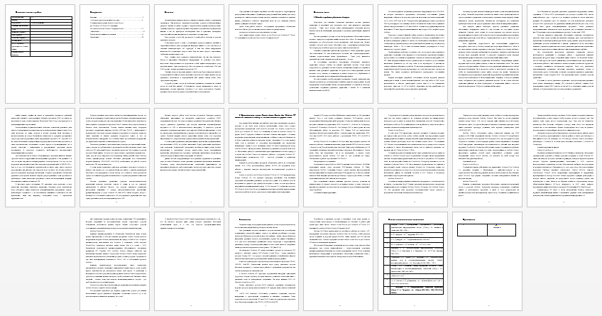 Отчет по практике на тему: Методы и средства удаленного доступа