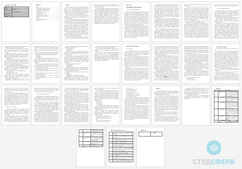 Курсовая работа на тему: Перевод в современном мире