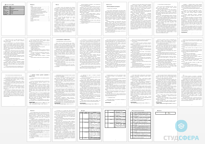 Курсовая работа на тему: Адаптация предприятий к рынку
