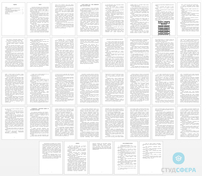 Курсовая работа на тему: Государственные служащие как социально-профессиональная группа.