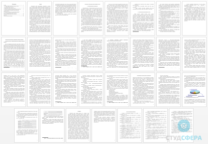 Курсовая работа на тему: Стратегический менеджмент на международных рынках