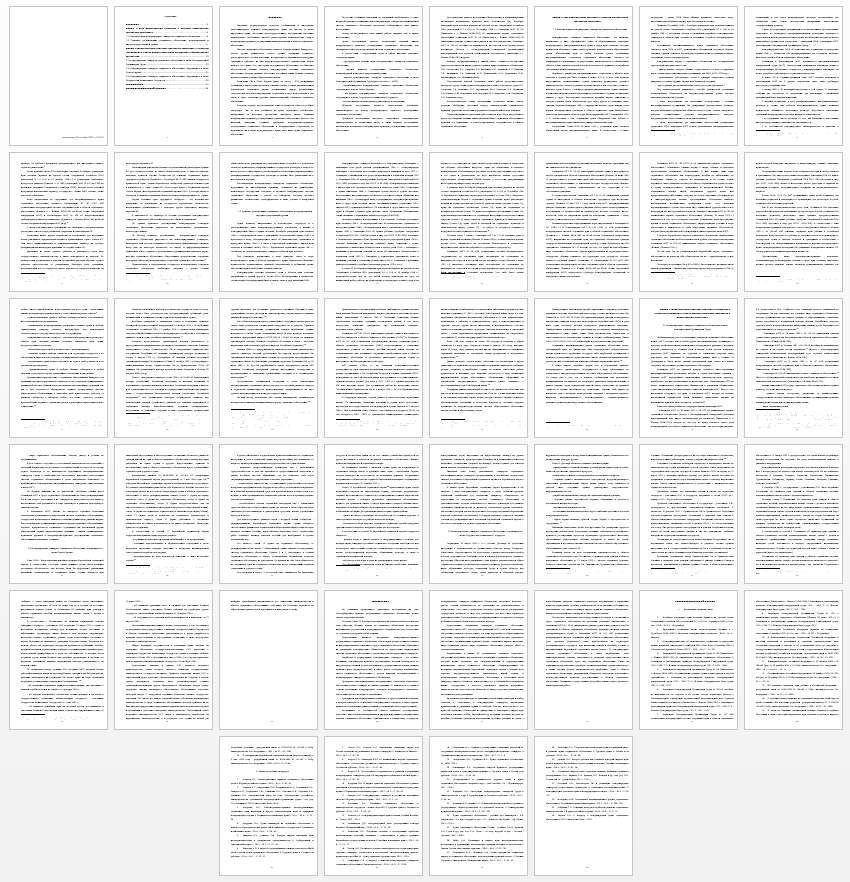 Дипломная работа на тему: Международное правовое регулирование социального обеспечения