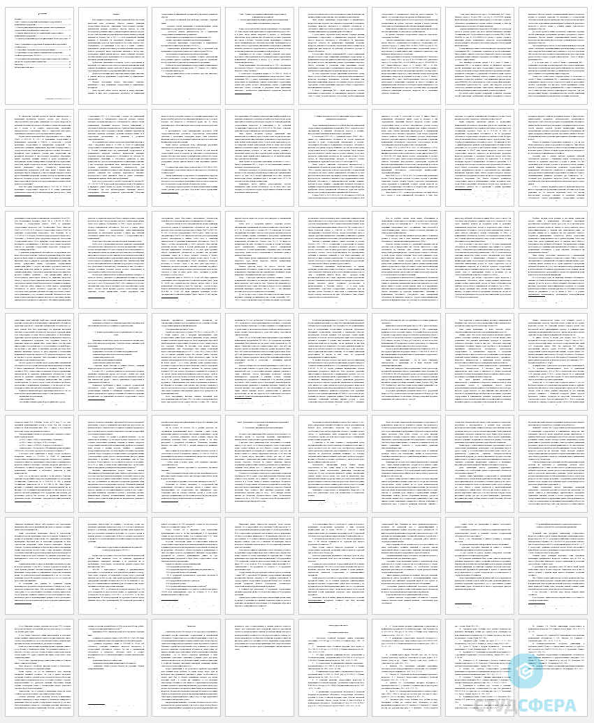 Курсовая работа на тему: Особенности приватизации государственных и муниципальных предприятий