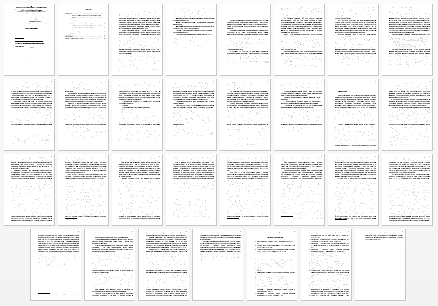 Курсовая работа на тему: Пожизненное лишение свободы