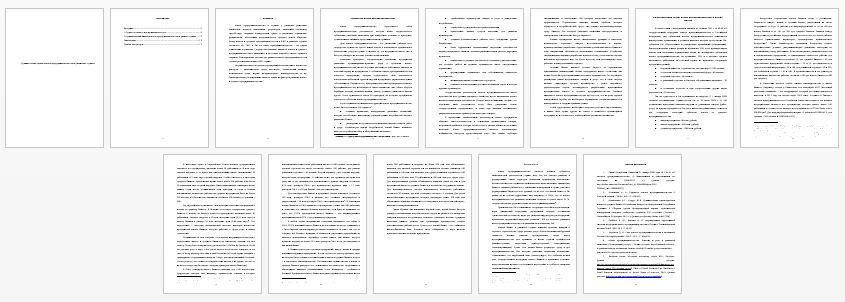 Контрольная работа на тему: Сравнительная оценка малого предпринимательства в различных странах