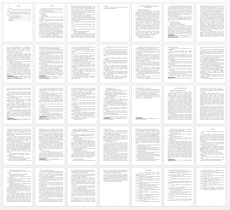 Курсовая работа на тему: Организация выплаты страховых пенсий