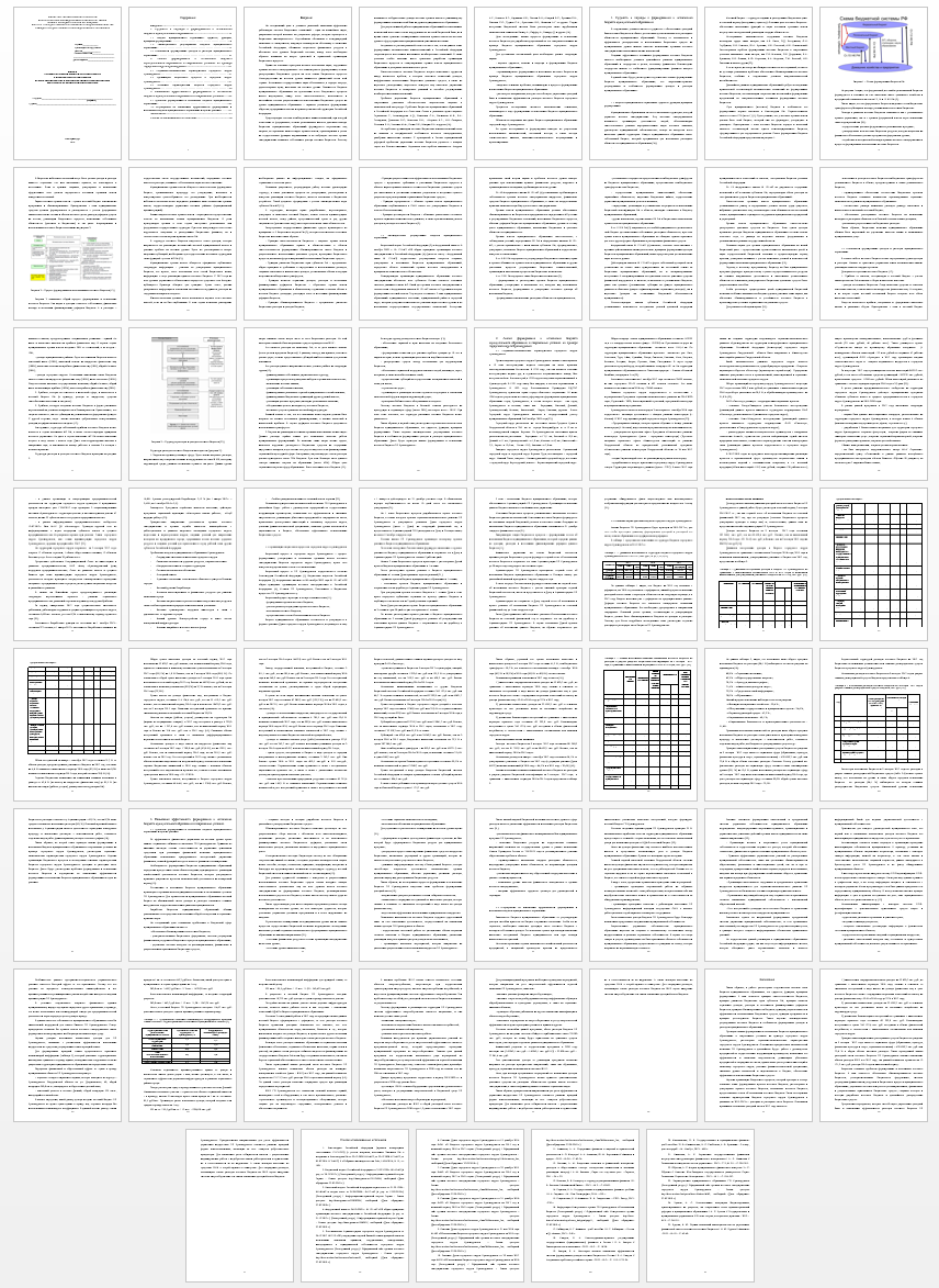 Курсовая работа на тему: Формирование и исполнение бюджета муниципального образования на примере ГО Красноуральск