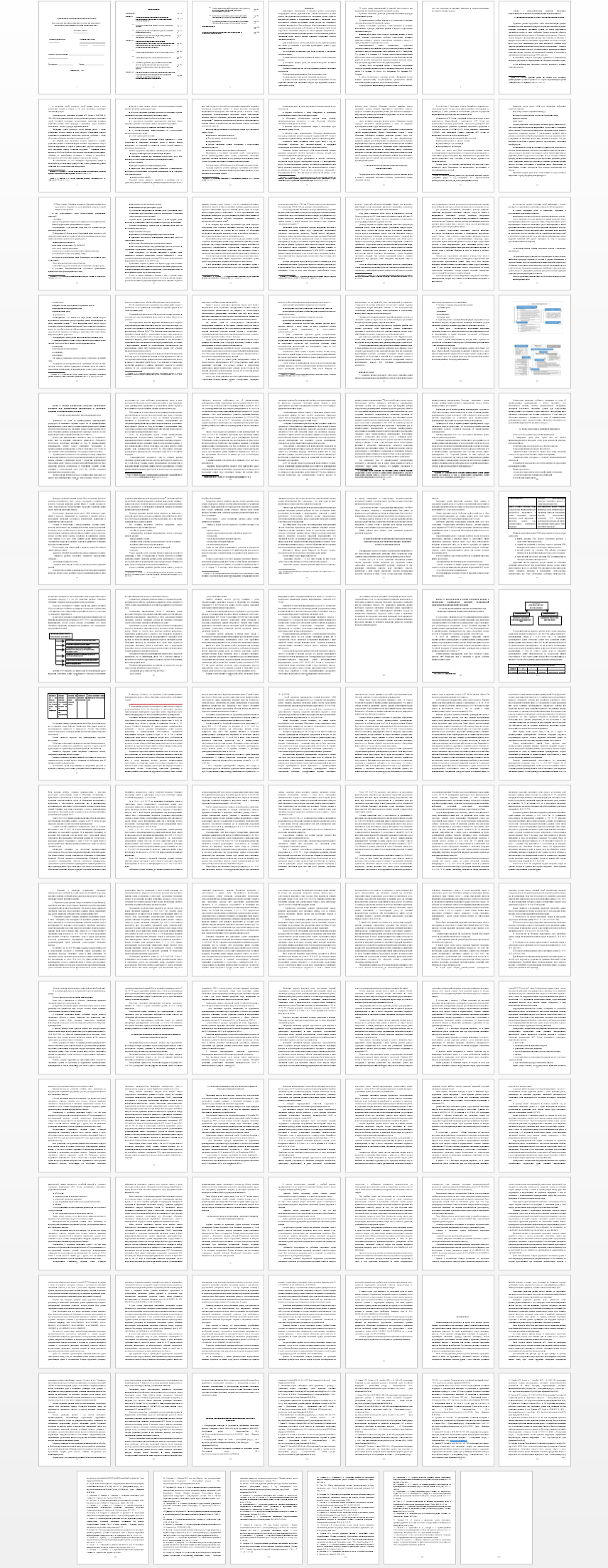 Курсовая работа на тему: Система управления рисками как основа для выявления и пресечения правонарушений в области таможенного дела