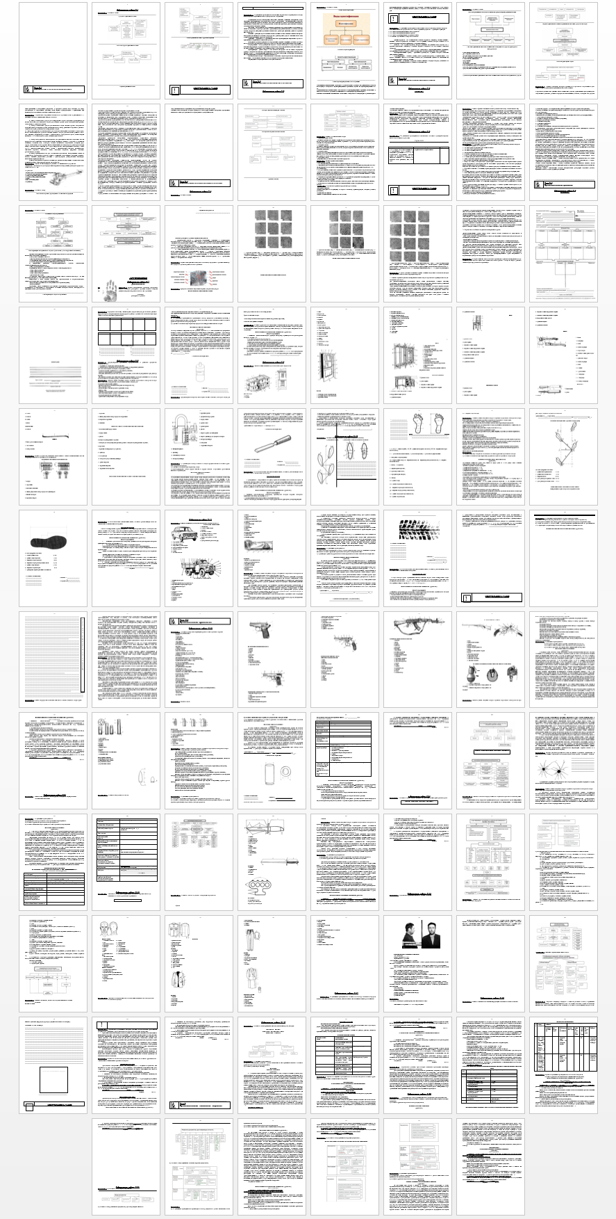 Лабораторная работа на тему: Криминалистика