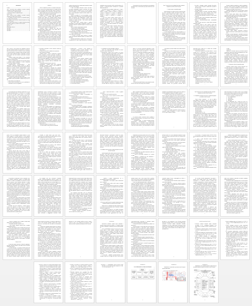 Дипломная работа на тему: Организация и проведение специальной операции по пресечению массовых беспорядков