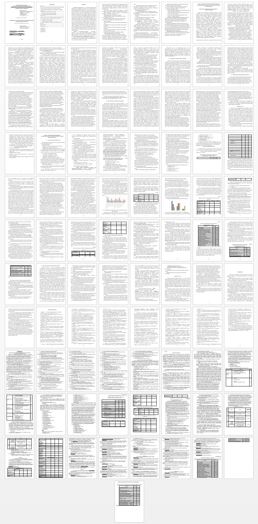 Дипломная работа на тему: Особенности детско-родительских отношений в семьях с разным количеством детей