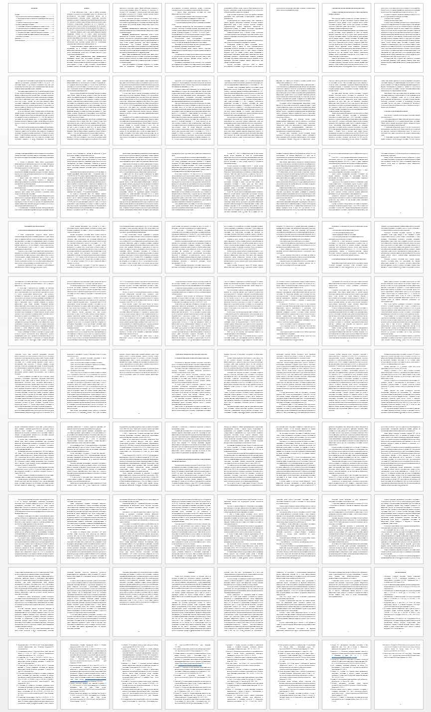 Дипломная работа на тему: Порядок организации проведения голосования в РФ