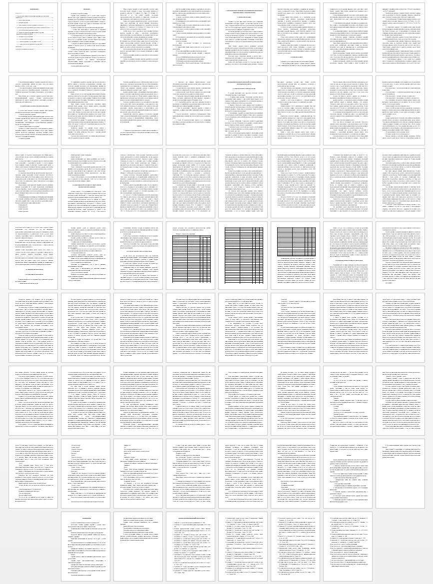 Дипломная работа на тему: Значение ударений в словах и фразах в русском языке и способы перевода